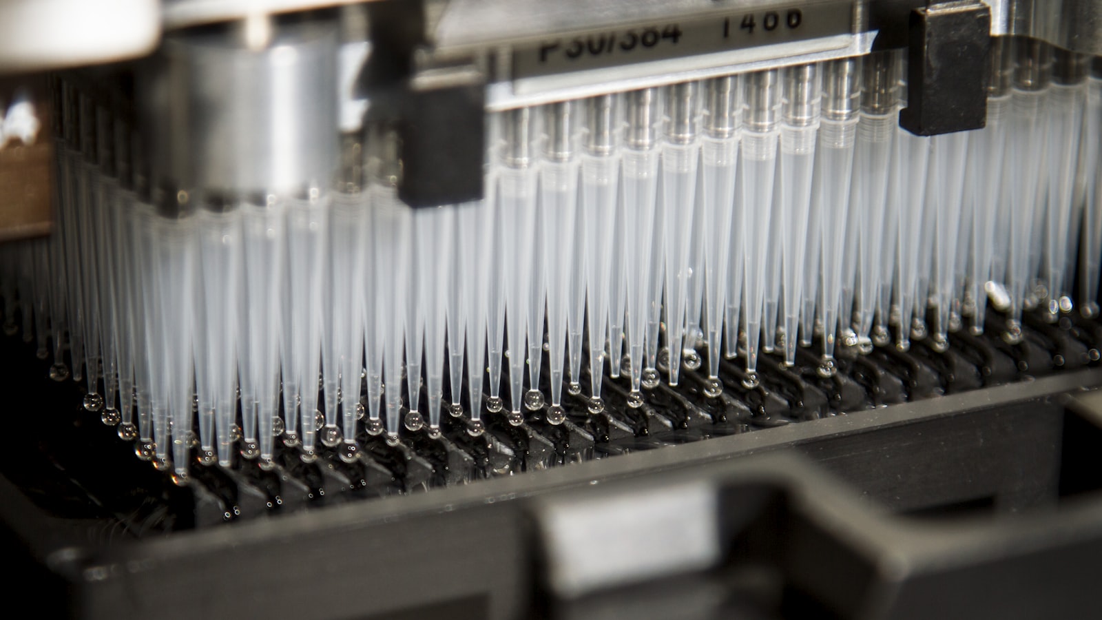 TB-500 Purity Testing: What Independent Analysis Reveals – Nevaro Labs