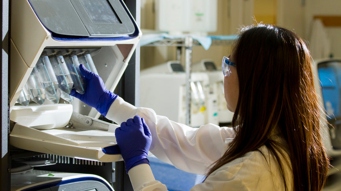 Laboratory analyst reviewing a certificate of analysis document